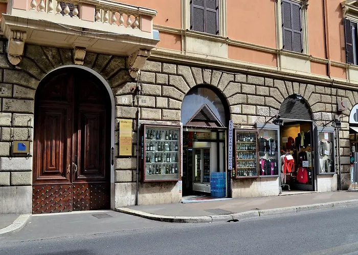 Sofia's